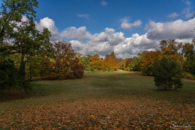 Neuer Garten in Potsdam