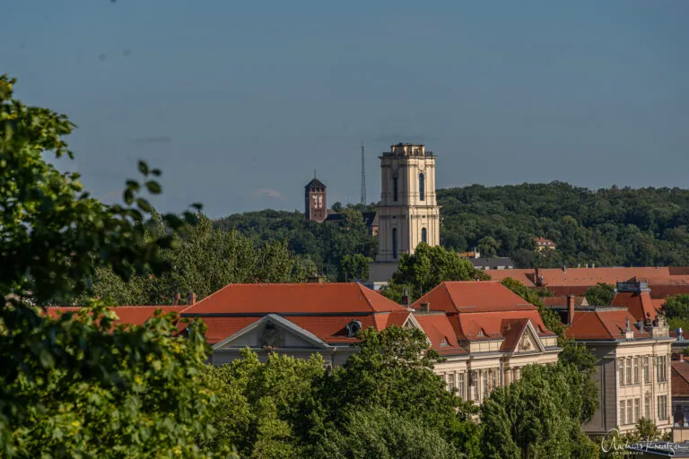 Blick vom Belvedere auf dem Mühlenberg